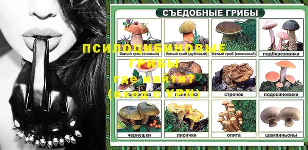 мяу мяу мука Михайлов