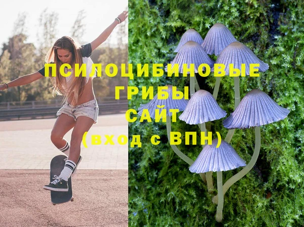 мяу мяу мука Михайлов