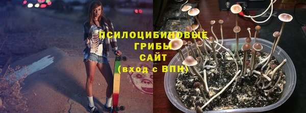 шишки Михайловка