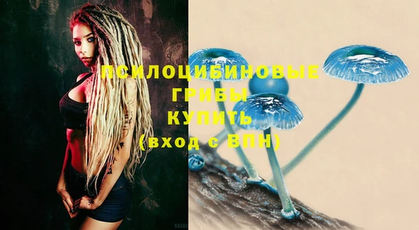 шишки Михайловка