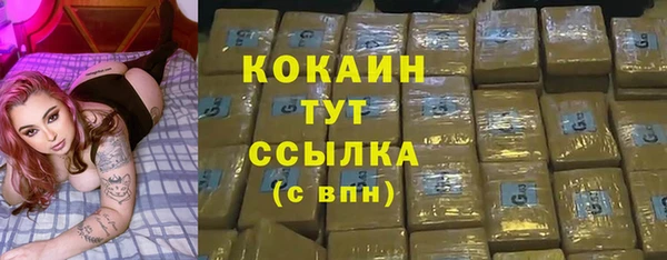 шишки Михайловка