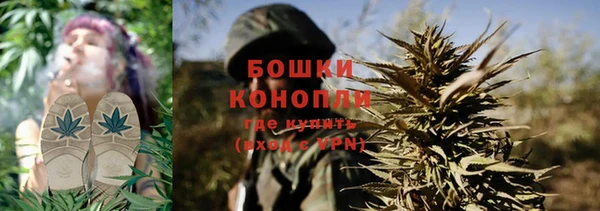 шишки Михайловка