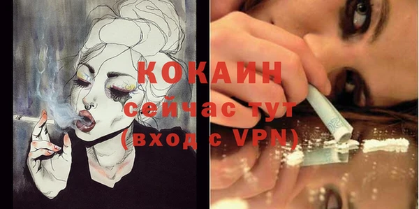 мяу мяу мука Михайлов