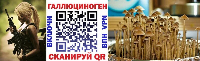 Купить закладки  Алушта  Псилоцибиновые грибы Magic Shrooms 